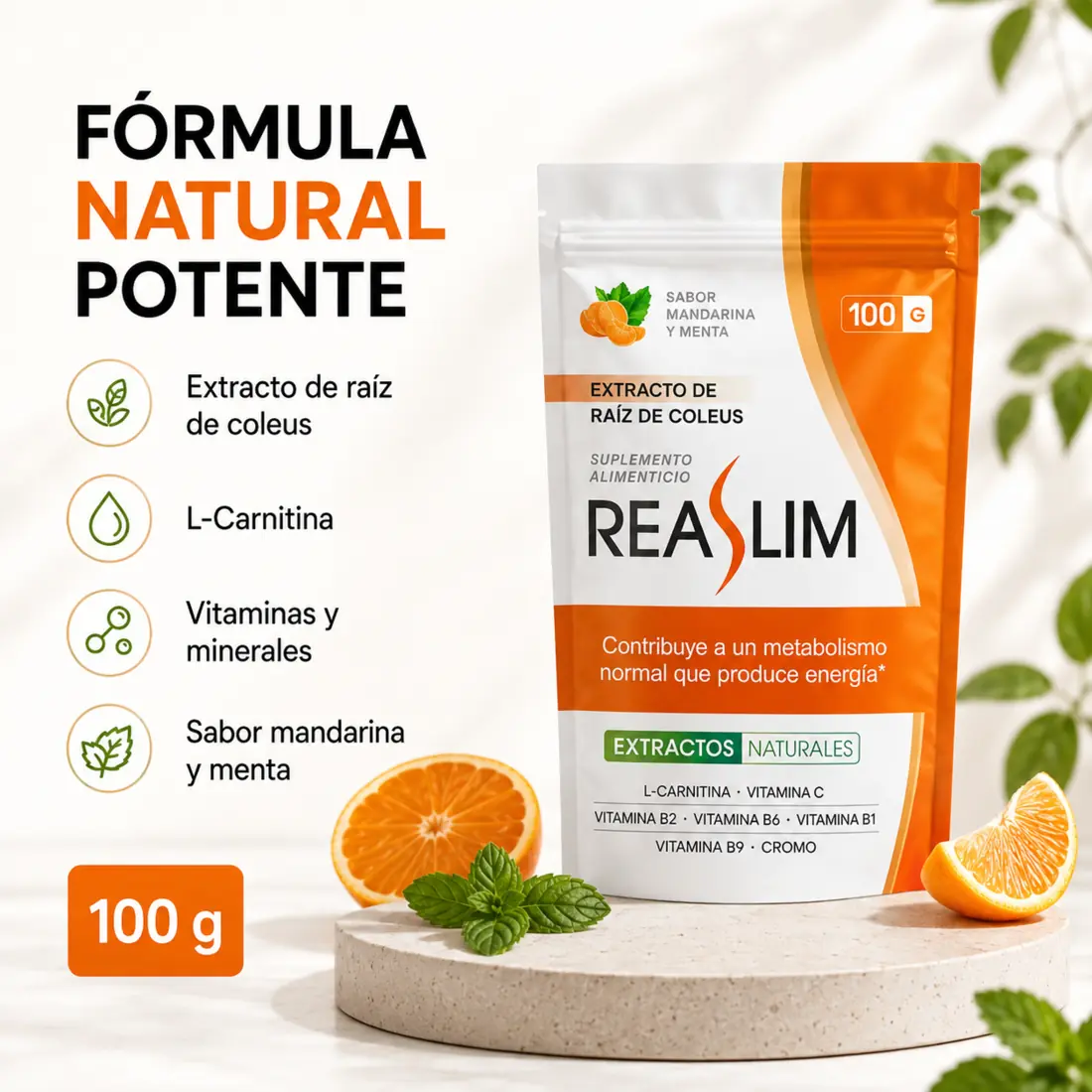 Miniatura REASLIM 2
